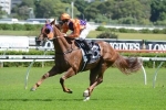 Money For Our Boy Malachi In BTC Cup Betting Money For Our Boy Malachi In BTC Cup Betting