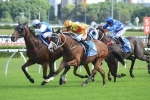 Rudy Gains Entry to 2015 Doncaster Mile