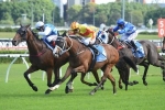 Rudy To Sydney For Tramway Stakes Rudy To Sydney For Tramway Stakes