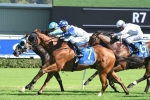 Villiers Stakes Winner Earns Crack at Magic Millions Races