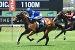 Multaja can give Lloyd a Group 1 send off with a win in 2019 Tattersall’s Tiara
