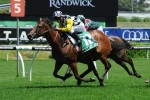 Cummings Excited By Shamalia Ahead Of Sheraco Stakes