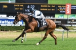 Gosford Next for Summer Cup Winner Red Excitement