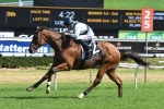 Red Excitement is the 2017 Gosford Cup Winner