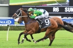 Montauk and Red Excitement to clash again in Gosford Gold Cup