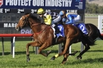 Clearly Innocent Ready for Caulfield Village Stakes