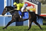 Danish Twist to bypass Helen Coughlan Stakes for Rosehill start