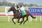 2017 June Stakes Day Preview & Tips 2017 June Stakes Day Preview & Tips