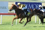 Big Money A Confirmed George Moore Stakes Starter