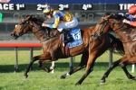 Cosmic Endeavour Leaves For Brisbane Ahead Of Tattersall’s Tiara