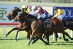 Haussmann Close To His Peak For Starlight Stakes