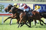 Haussmann Close To His Peak For Starlight Stakes Haussmann Close To His Peak For Starlight Stakes