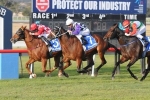 Arctic Flight heads to Brisbane after Dark Jewel Classic win Arctic Flight heads to Brisbane after Dark Jewel Classic win