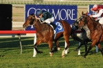 Satin Shoes To Continue Racing Career Satin Shoes To Continue Racing Career