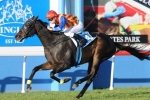Taxmeifyoucan A Narrow Favourite In Open Villiers Stakes Betting Market Taxmeifyoucan A Narrow Favourite In Open Villiers Stakes Betting Market