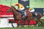 No Queen Elizabeth Stakes For Akeed Mofeed No Queen Elizabeth Stakes For Akeed Mofeed