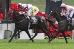 Dominant Upstages Europeans In Hong Kong Vase