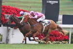 Aerovelocity Narrow Favourite In Hong Kong Sprint Betting