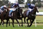 Surprise packet Haybah to take on top fancies in Chairman’s Stakes