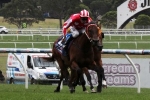 Oakleigh Plate An Option For Shamal Wind