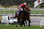 Oakleigh Plate An Option For Shamal Wind Oakleigh Plate An Option For Shamal Wind