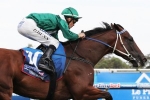 Runway Star will need the run in Bletchingly Stakes Runway Star will need the run in Bletchingly Stakes