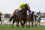 Wide Draws For Leading Chances In Heatherlie Stakes