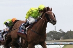 Taiyoo the pick of Weir’s Ballarat Cup runners Taiyoo the pick of Weir’s Ballarat Cup runners