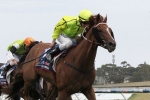 Taiyoo the pick of Weir’s Ballarat Cup runners