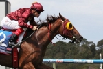 Thurlow to wear visor in Blue Diamond Stakes Thurlow to wear visor in Blue Diamond Stakes