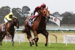 Harrison Happy With Stream Ahead Of Quezette Stakes Harrison Happy With Stream Ahead Of Quezette Stakes