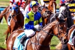 Novel Dancer Ready For City Debut In Quezette Stakes Novel Dancer Ready For City Debut In Quezette Stakes