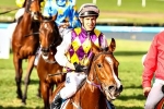 Murt The Flirt Saved For Wyong Magic Millions 3YO Classic