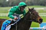Tristram’s Sun breaks 20 year Kyneton Cup drought for Vlad Duric Tristram’s Sun breaks 20 year Kyneton Cup drought for Vlad Duric