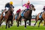 Don’t Get Excited Ready To Fire In Wangoom Handicap Don’t Get Excited Ready To Fire In Wangoom Handicap