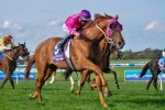 Like A Carousel Can Go One Better In Sandown Cup
