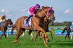 Keys Chasing Melbourne Cup Start For Like A Carousel Keys Chasing Melbourne Cup Start For Like A Carousel