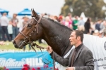 Zipping Classic winner Au revoir to spell Zipping Classic winner Au revoir to spell
