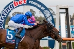 Money For Godolphin Duo In Doomben 10,000 Betting