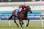 Blinkers Key For Petrology In 2015 Memsie Stakes