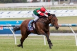 2014 Sandown Guineas Results: Petrology Most Impressive