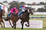 Summoned Stakes Winner Politeness Aimed Towards Doncaster Mile