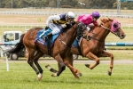 Keys Hoping It Is Third Time Lucky For Like A Carousel In Sandown Cup