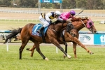 Andrew Ramsden Stakes Day Preview & Tips