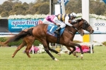 Renew On Trial For Adelaide Cup
