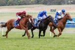 Godolphin Happy With Blue Diamond Preview Duo