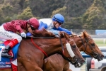 Blinkers go on Thurlow in Chairman’s Stakes Blinkers go on Thurlow in Chairman’s Stakes