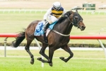 Ibicenco is Queensland Cup Topweight Ibicenco is Queensland Cup Topweight