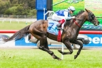 Mahisara needs QTC Cup win to cement Stradbroke start