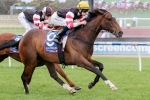 Laing Admits Audino Is Outclassed In Australia Stakes Laing Admits Audino Is Outclassed In Australia Stakes